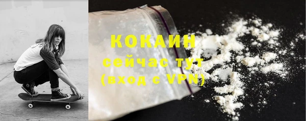 трава Белокуриха