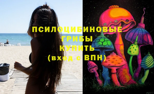 трава Белокуриха