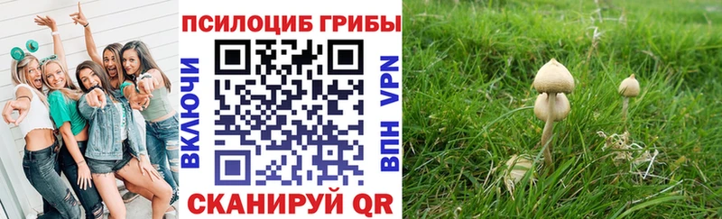 Галлюциногенные грибы Cubensis  где купить наркотик  Свободный 
